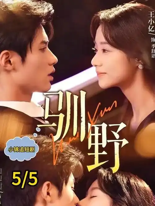 78影视都市悬疑短剧千纸鹤计划在线看